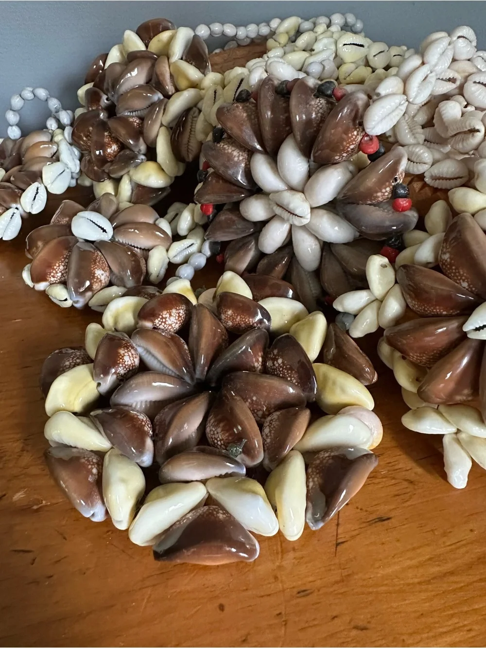 Balanced Cats Paw Cowrie Lei